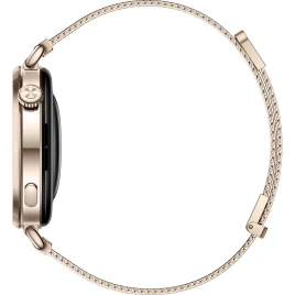 Смарт-часы Huawei Watch GT 6 41mm Gold/Gold Milanese (55020FVW)