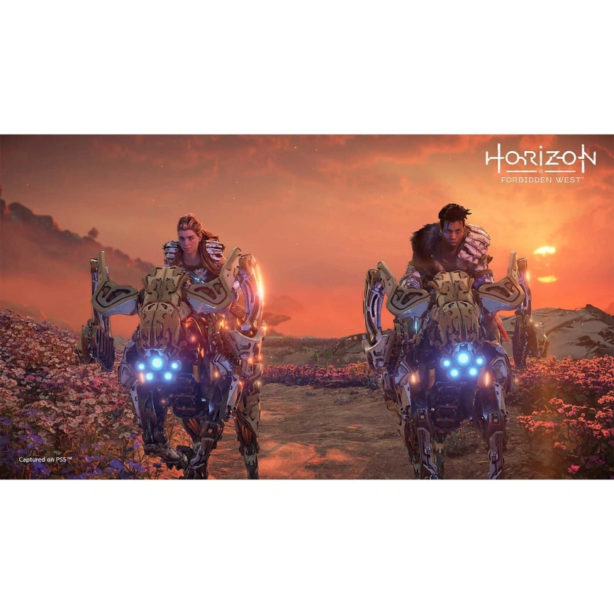 Игра Sony Horizon Запретный Запад (Русская версия) (PS5) фото 5