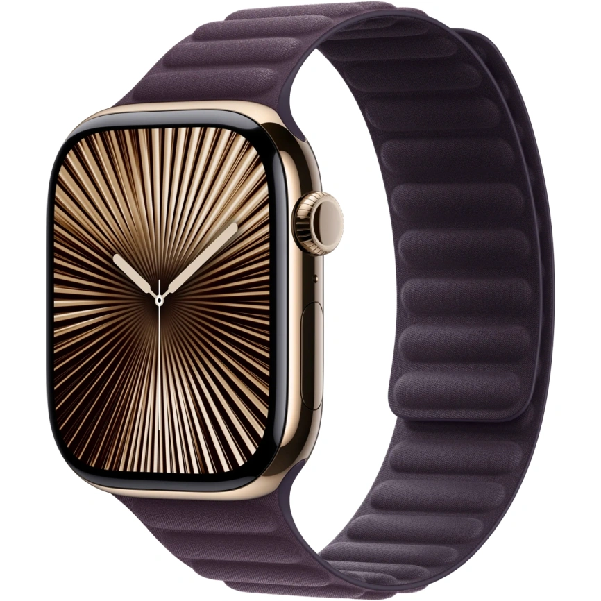 Ремешок Apple Watch 46mm Blackberry Magnetic Link M/L (MXWU3) фото 3
