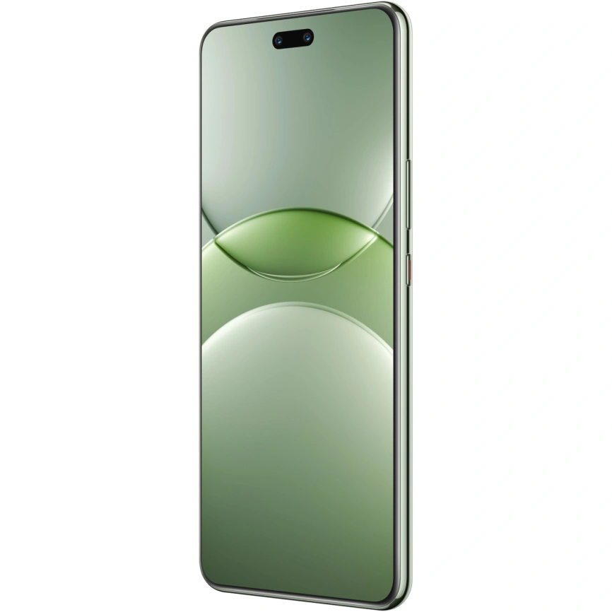 Смартфон Huawei Nova 13 Pro 12/512Gb Loden Green (51098DCG) фото 3