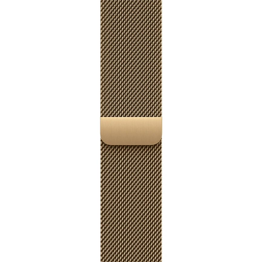 Смарт-часы Apple Watch Series 12 42mm Natural Titanium Case with Radiant Gold Milanese Loop фото 2