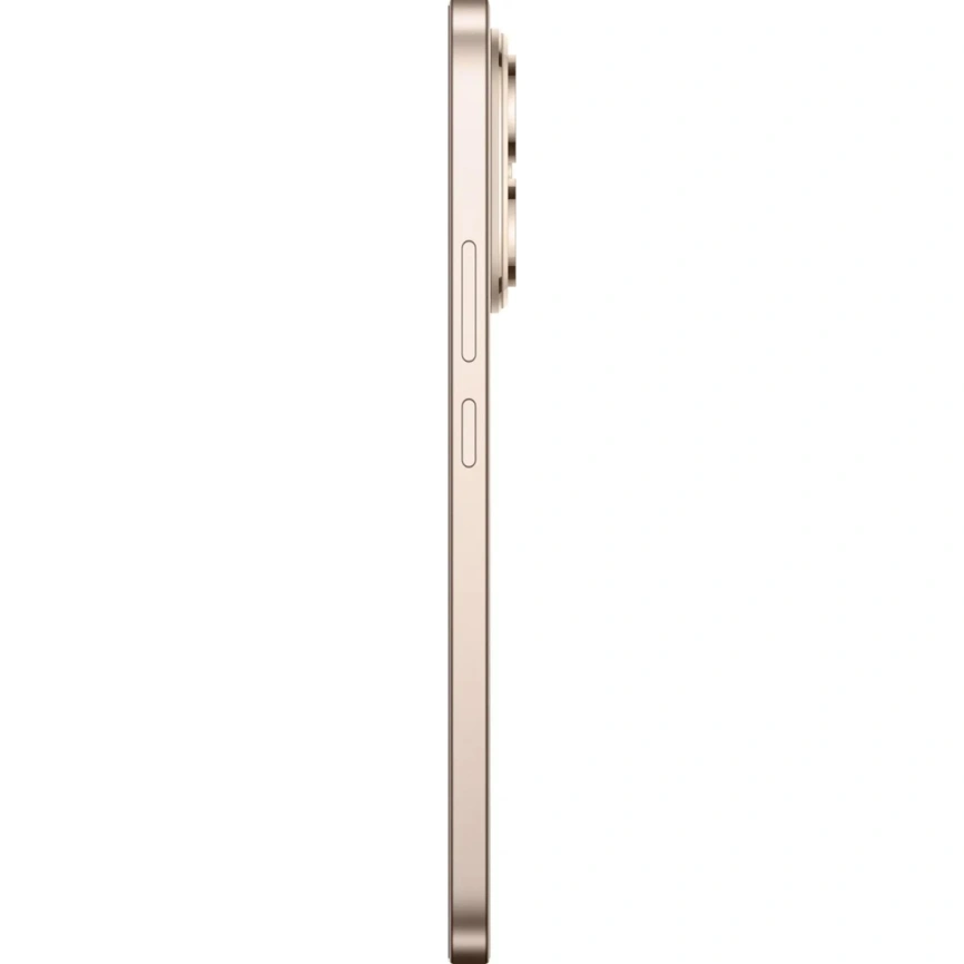 Смартфон Honor 400 12/512Gb Desert Gold фото 2