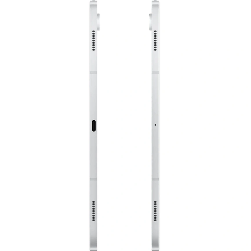 Планшет Samsung Galaxy Tab S10 Plus LTE 12/256GB Platinum Silver (SM-X826B) фото 2