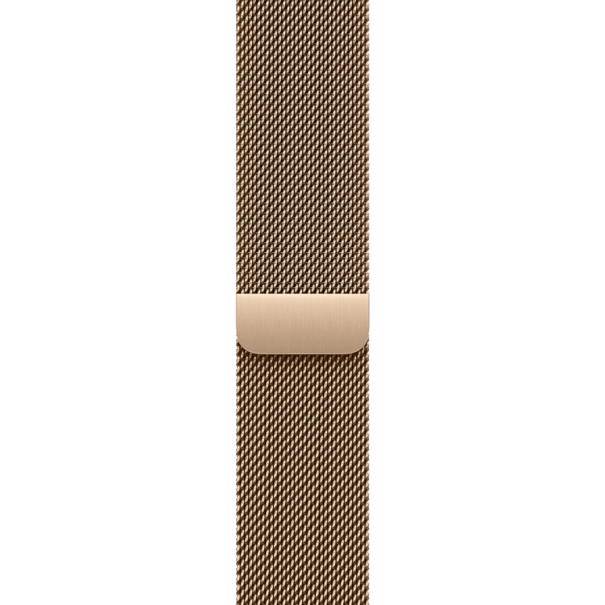 Смарт-часы Apple Watch Series 11 42mm Slate Titanium Case with Gold Milanese Loop фото 3