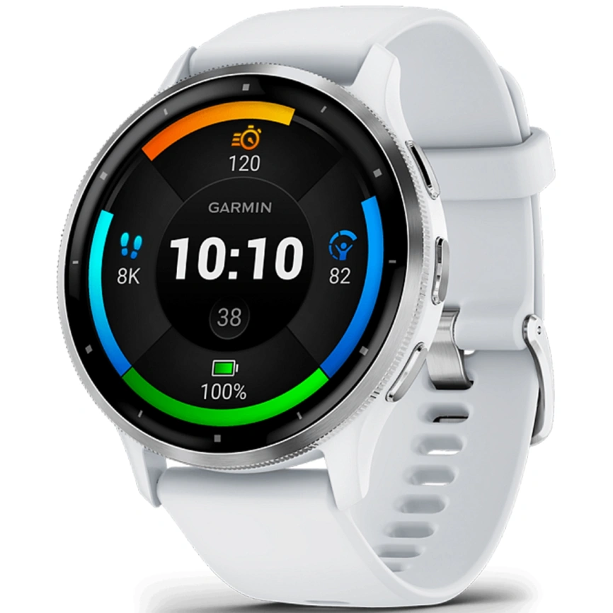 Умные часы Garmin Venu 3 (010-02784-00) 45mm Silver фото 1
