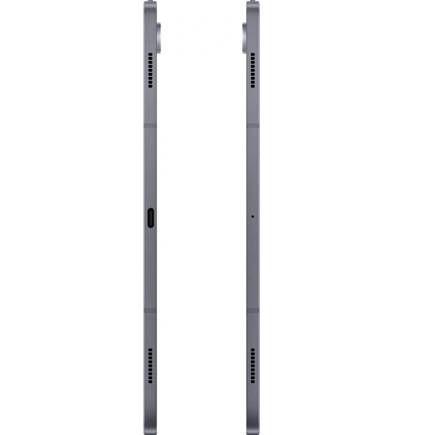 Планшет Samsung Galaxy Tab S10 Plus LTE 12/256GB Moonstone Grey (SM-X826B) фото 2