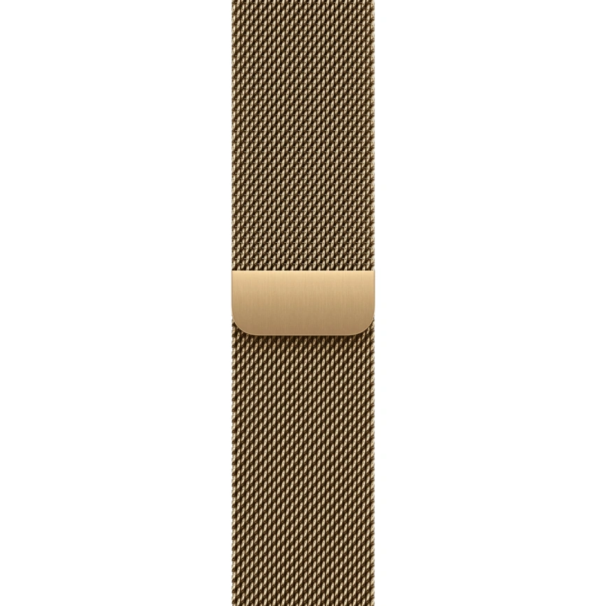 Смарт-часы Apple Watch Series 12 42mm Radiant Gold Titanium Case with Radiant Gold Milanese Loop фото 2