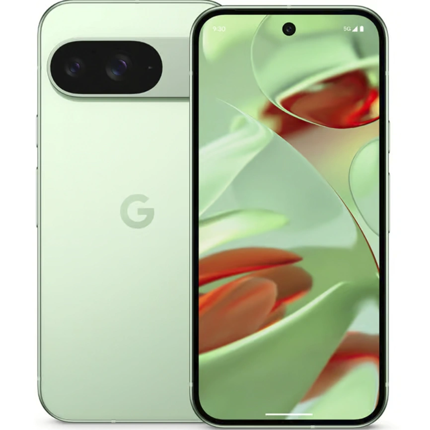 Смартфон Google Pixel 9 12/256Gb Wintergreen фото 6